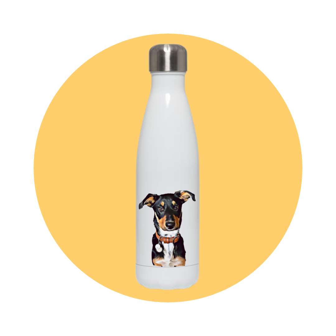 Love Your Pet || White 500ml Printed Bottle